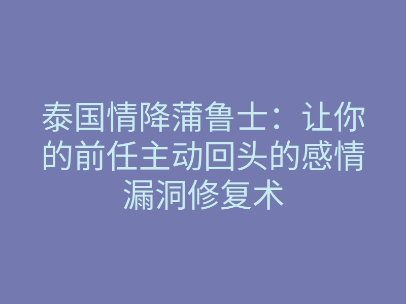 泰国情降蒲鲁士:让你的前任主动回头的感情漏洞修复术
