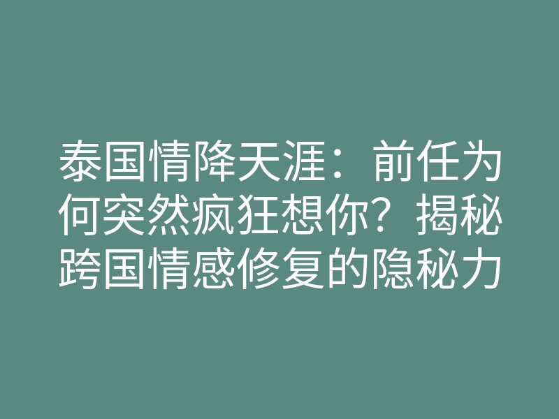 泰国情降天涯：前任为何突然疯狂想你？揭秘跨国情感修复的隐秘力量